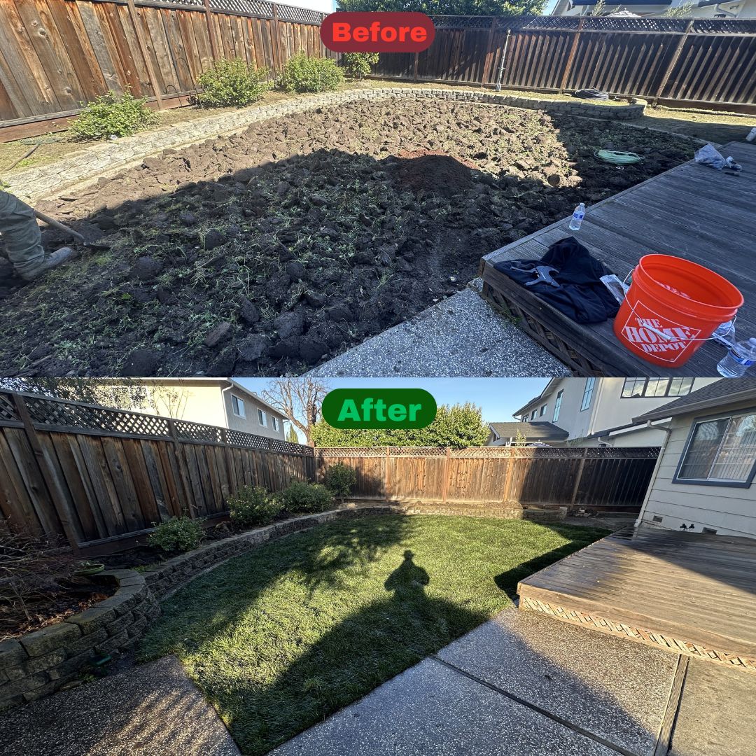 Excel Lawn Service before and after result