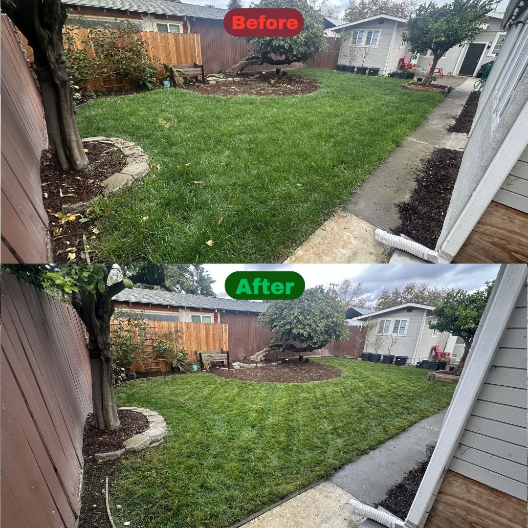 Excel Lawn Service before and after result