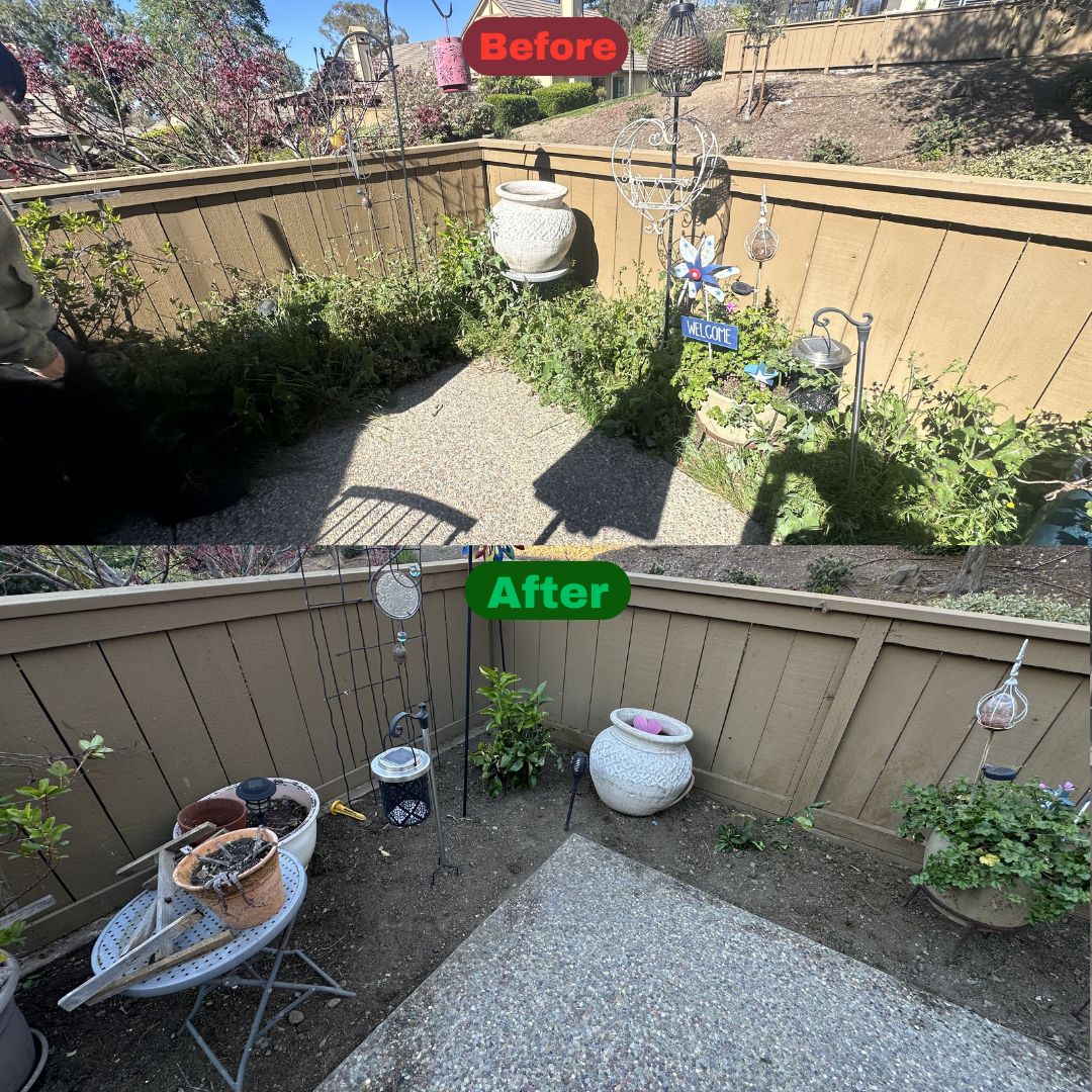 Excel Lawn Service before and after result
