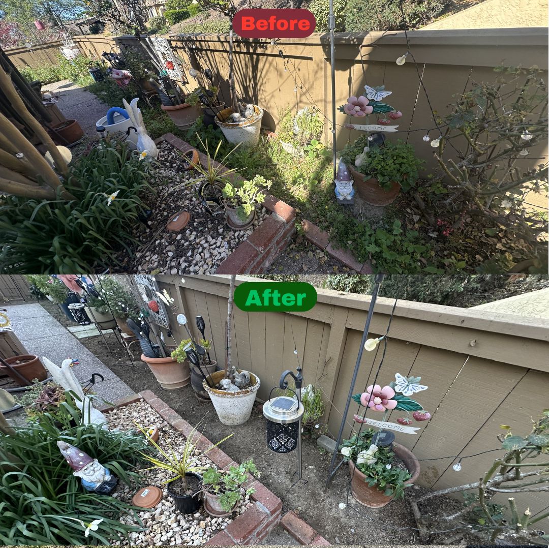 Excel Lawn Service before and after result