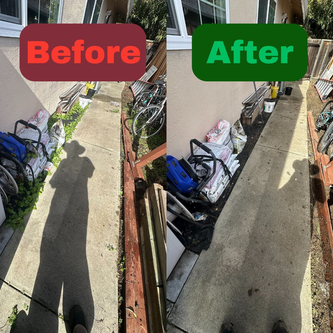 Excel Lawn Service before and after result