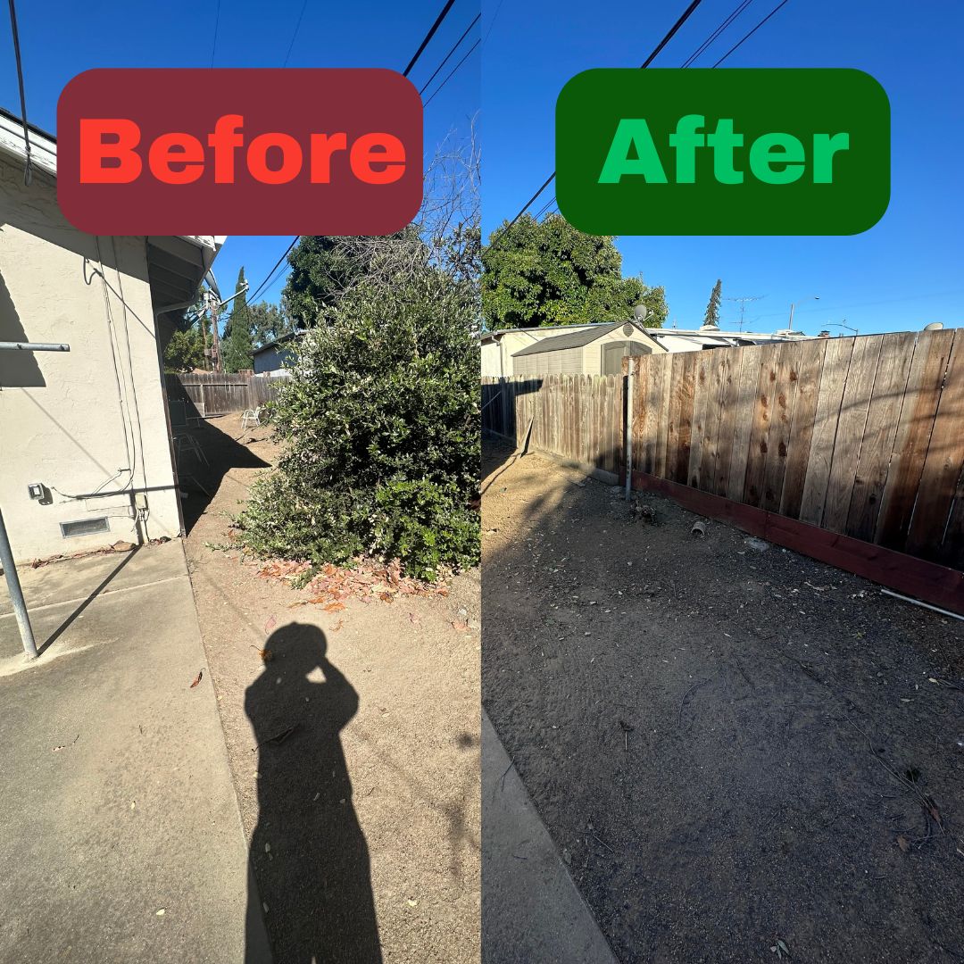Excel Lawn Service before and after result