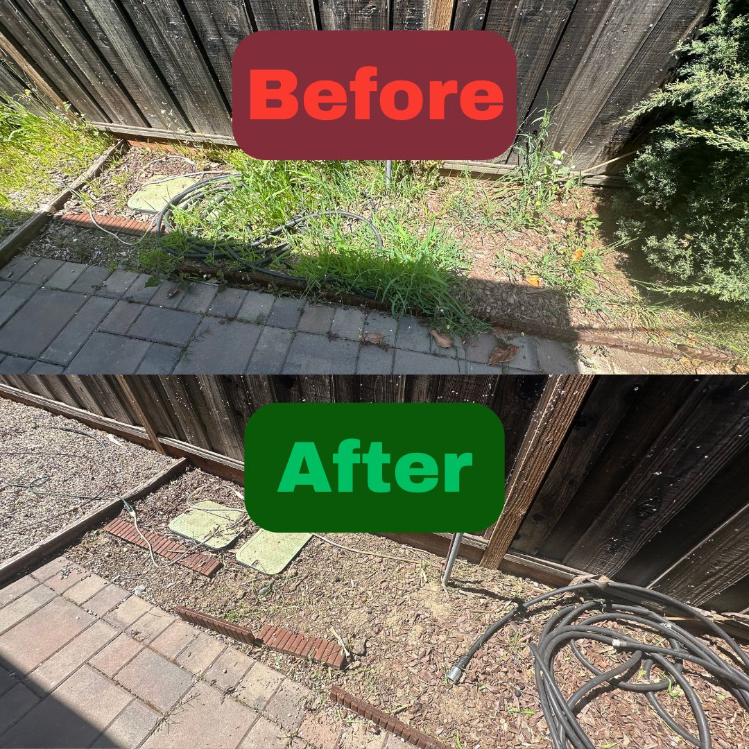Excel Lawn Service before and after result