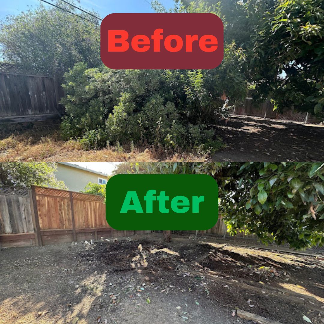 Excel Lawn Service before and after result