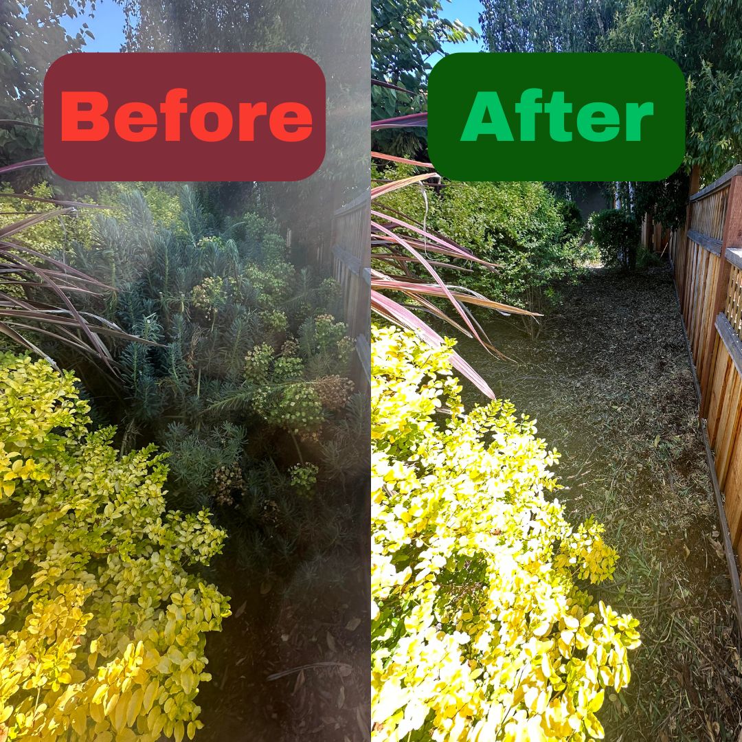 Excel Lawn Service before and after result