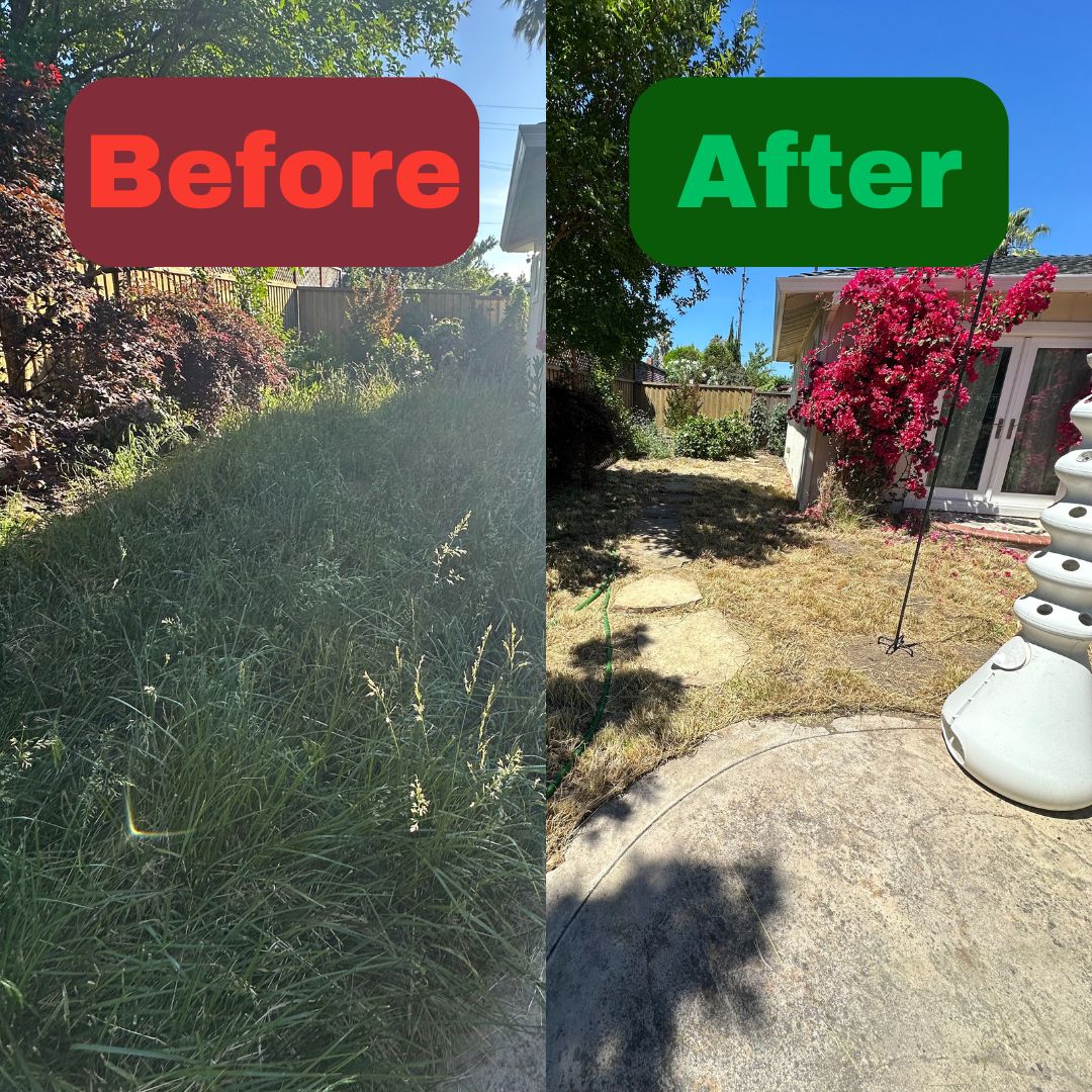 Excel Lawn Service before and after result