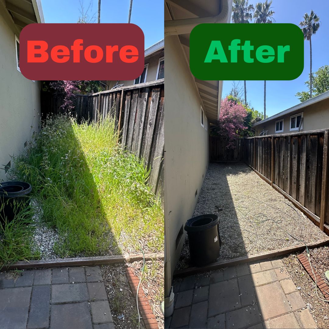 Excel Lawn Service before and after result
