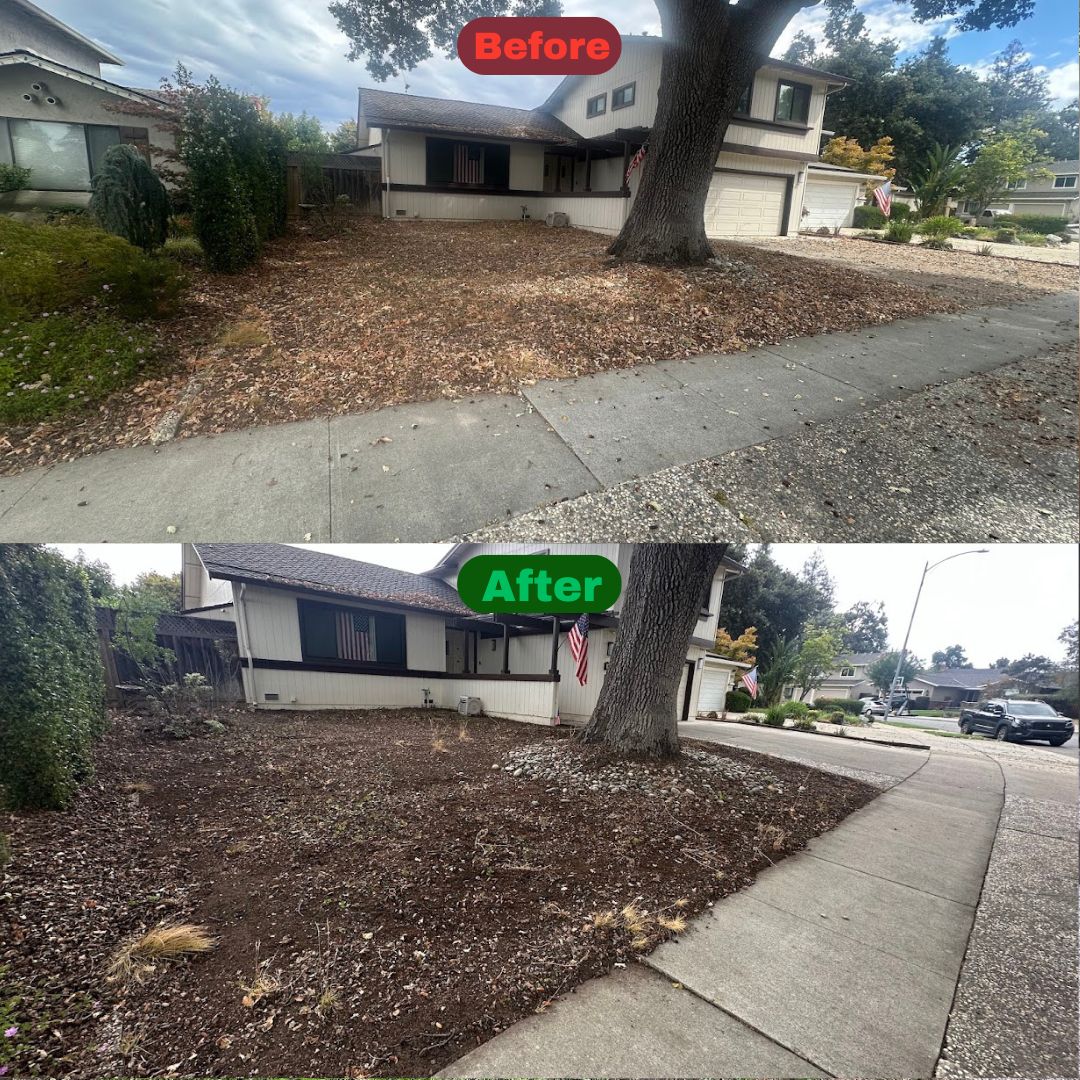 Excel Lawn Service before and after result