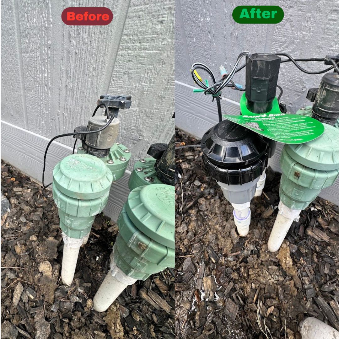 Excel Lawn Service before and after result