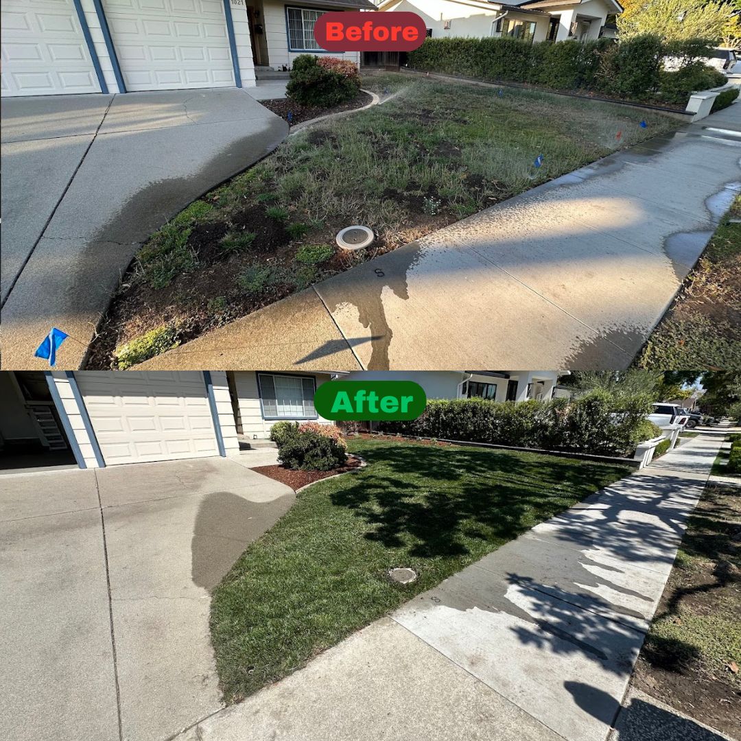 Excel Lawn Service before and after result