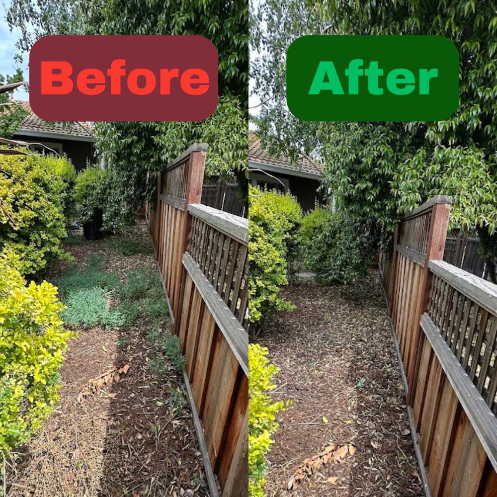 Excel Lawn Service before and after result