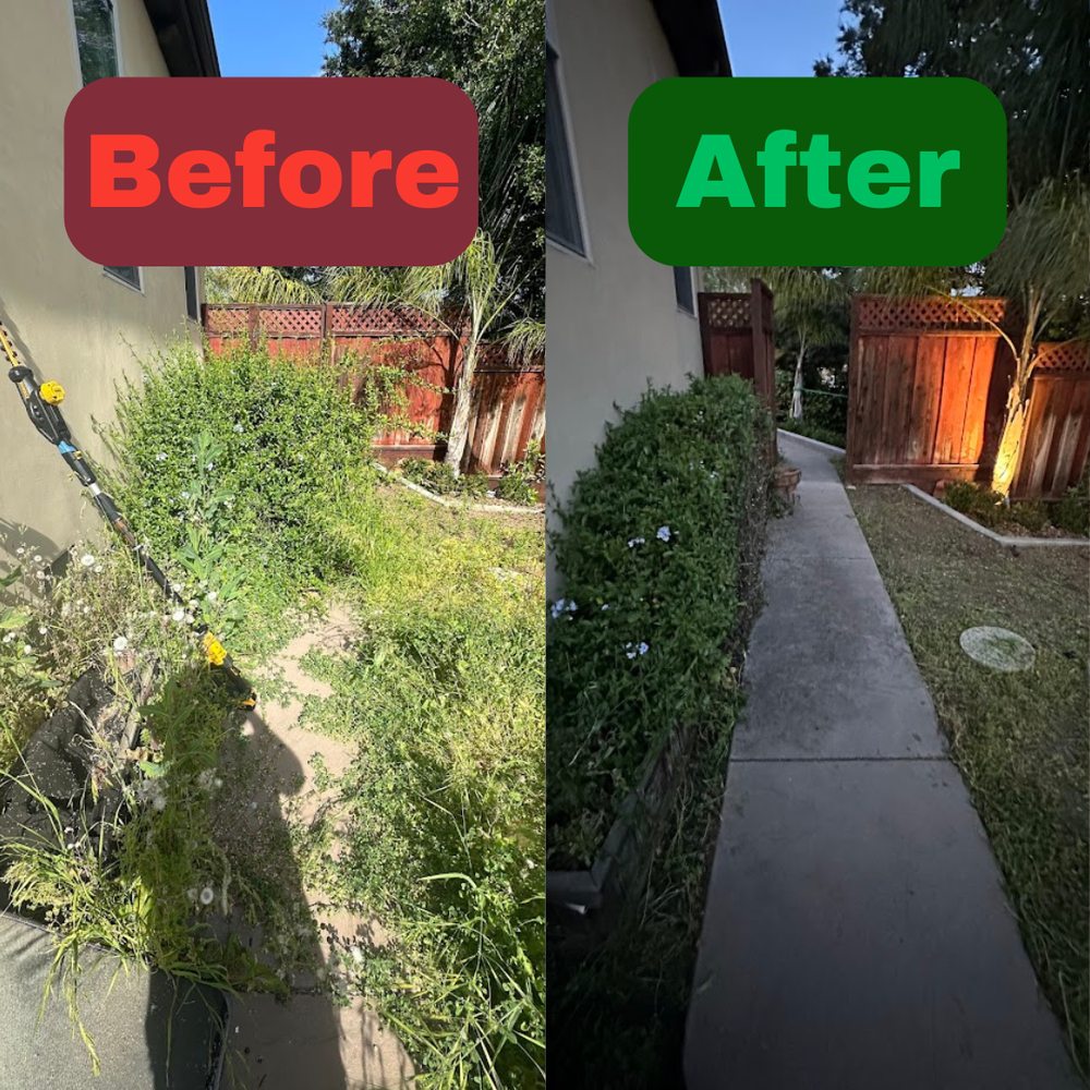 Excel Lawn Service before and after result