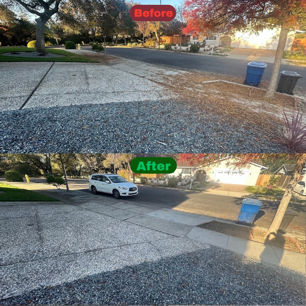 Excel Lawn Service before and after result