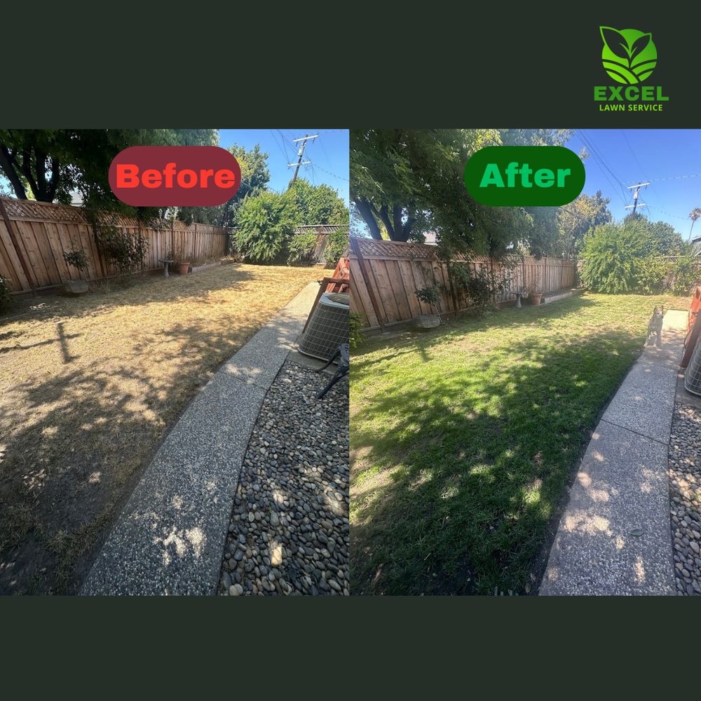 Excel Lawn Service before and after result