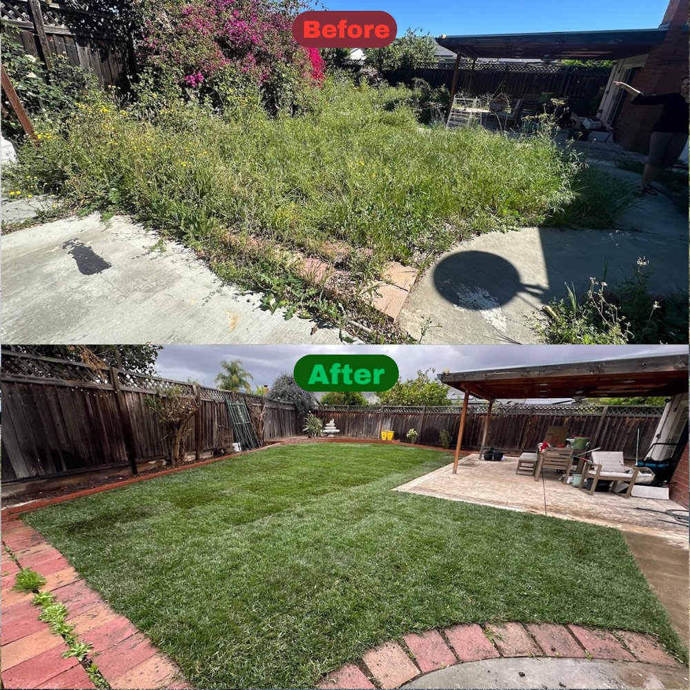 Excel Lawn Service before and after result