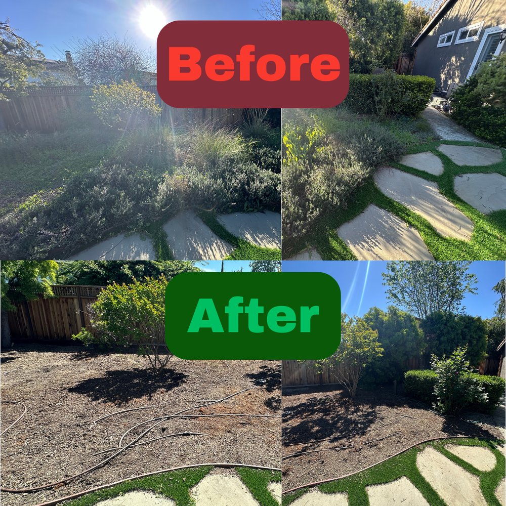 Excel Lawn Service before and after result