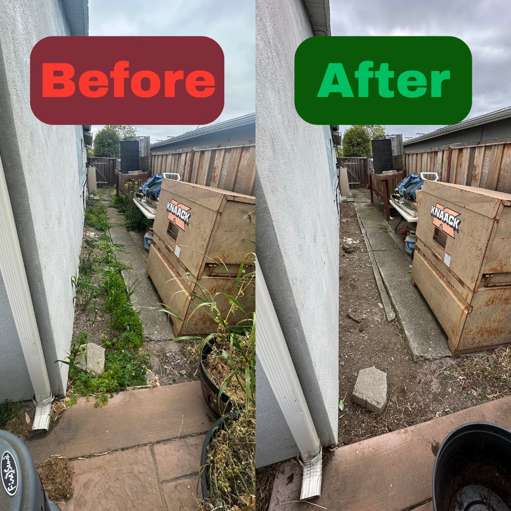 Excel Lawn Service before and after result