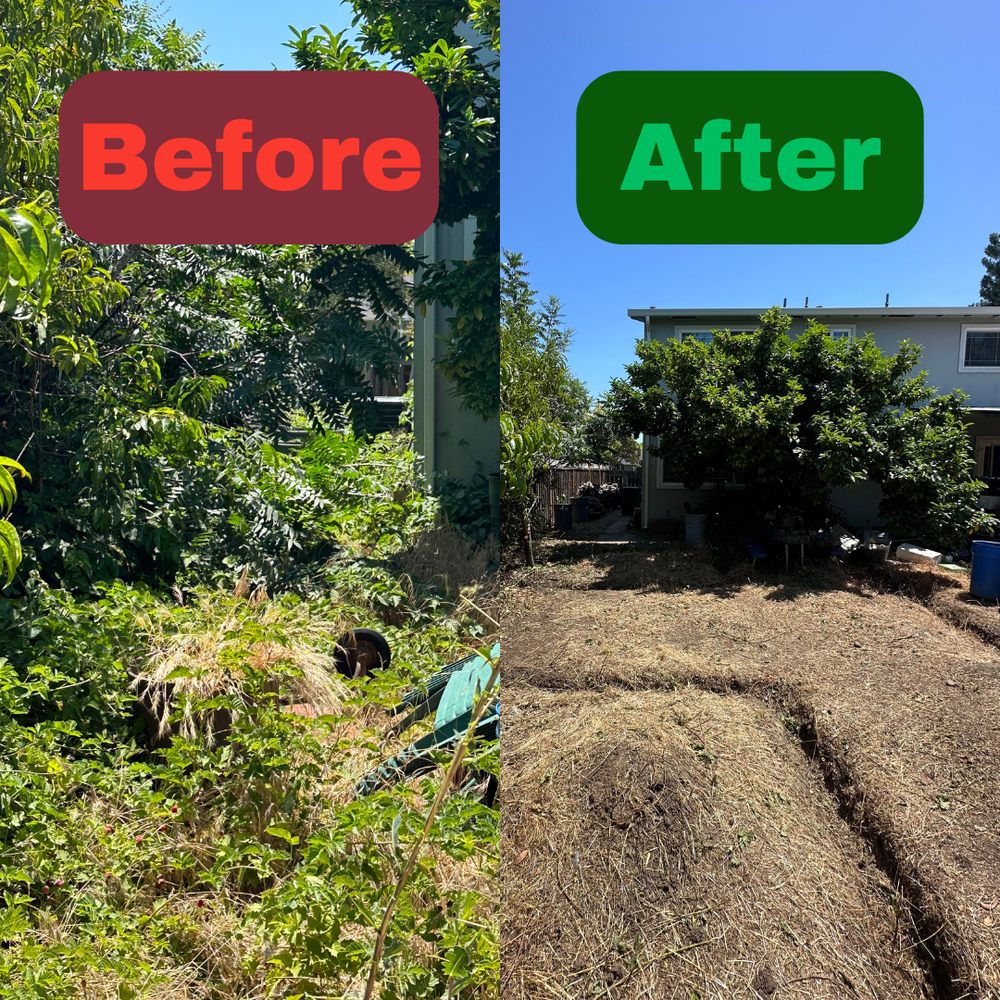 Excel Lawn Service before and after result