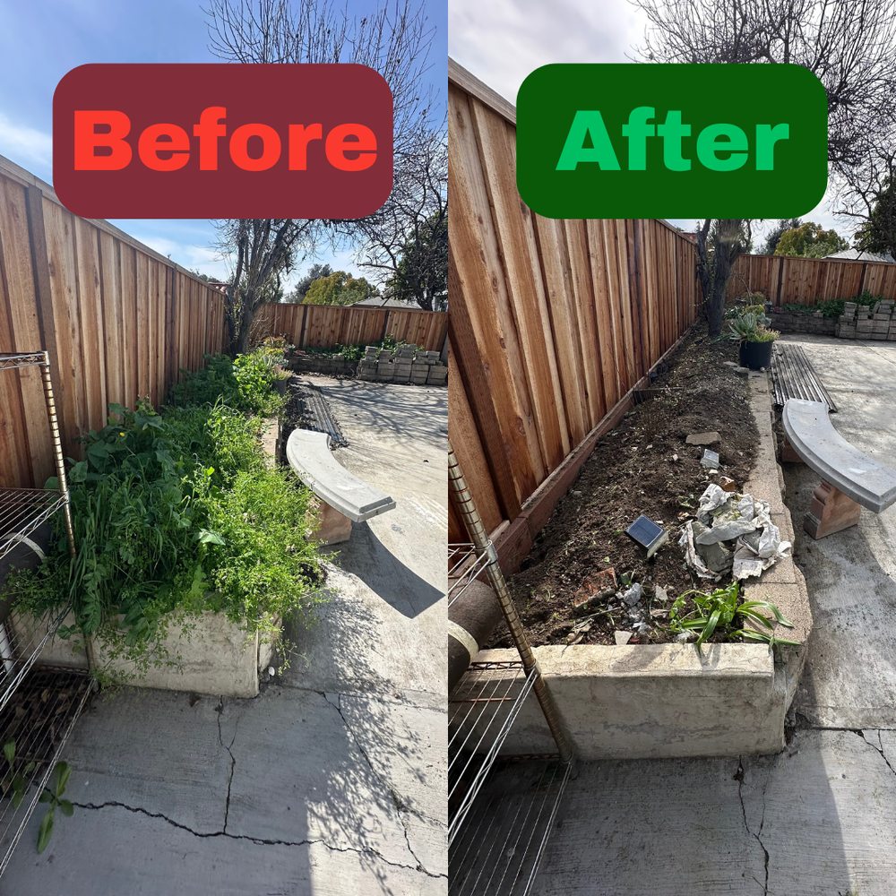 Excel Lawn Service before and after result