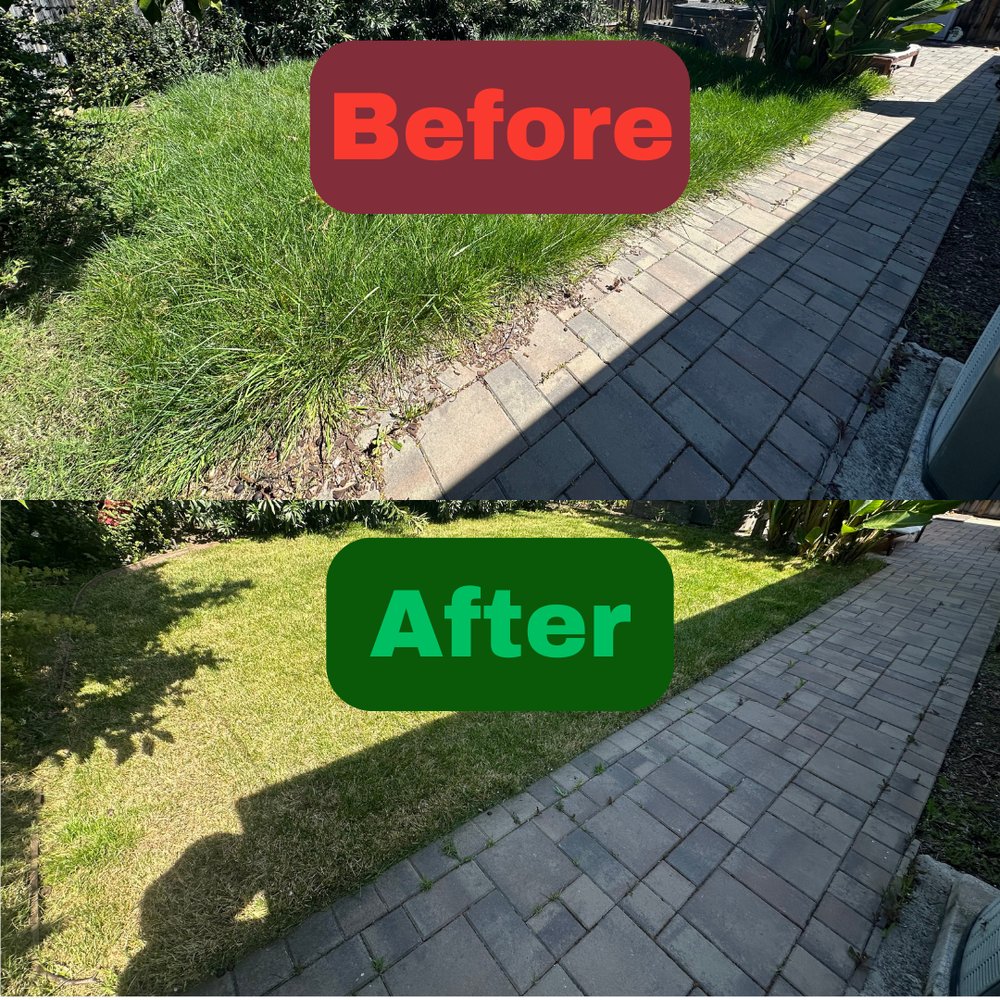 Excel Lawn Service before and after result