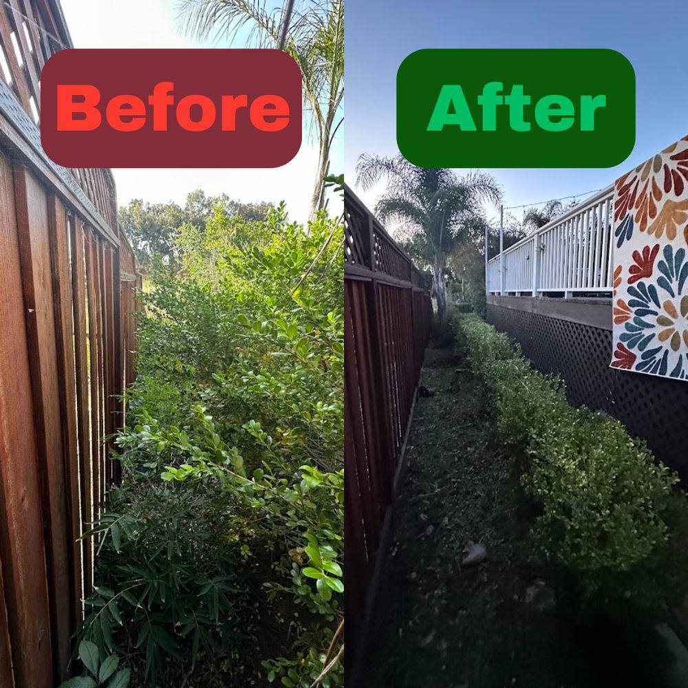 Excel Lawn Service before and after result
