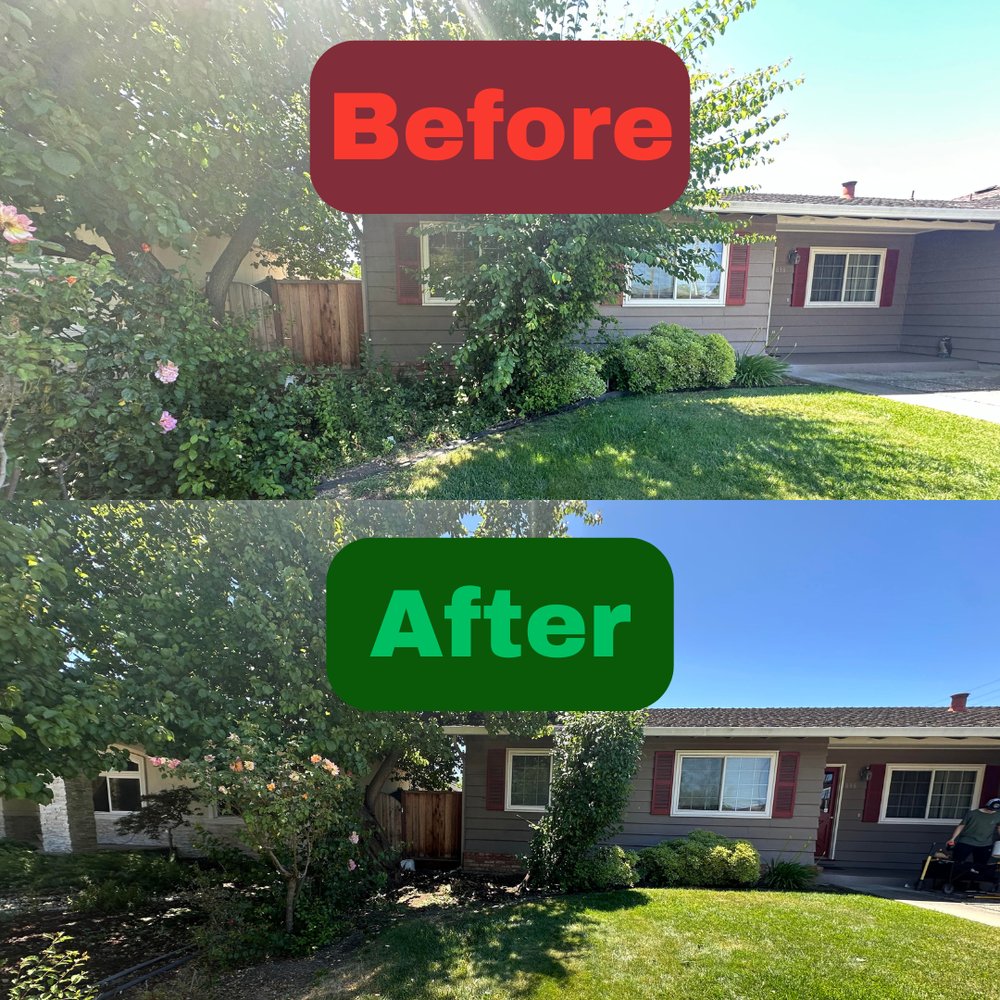 Excel Lawn Service before and after result
