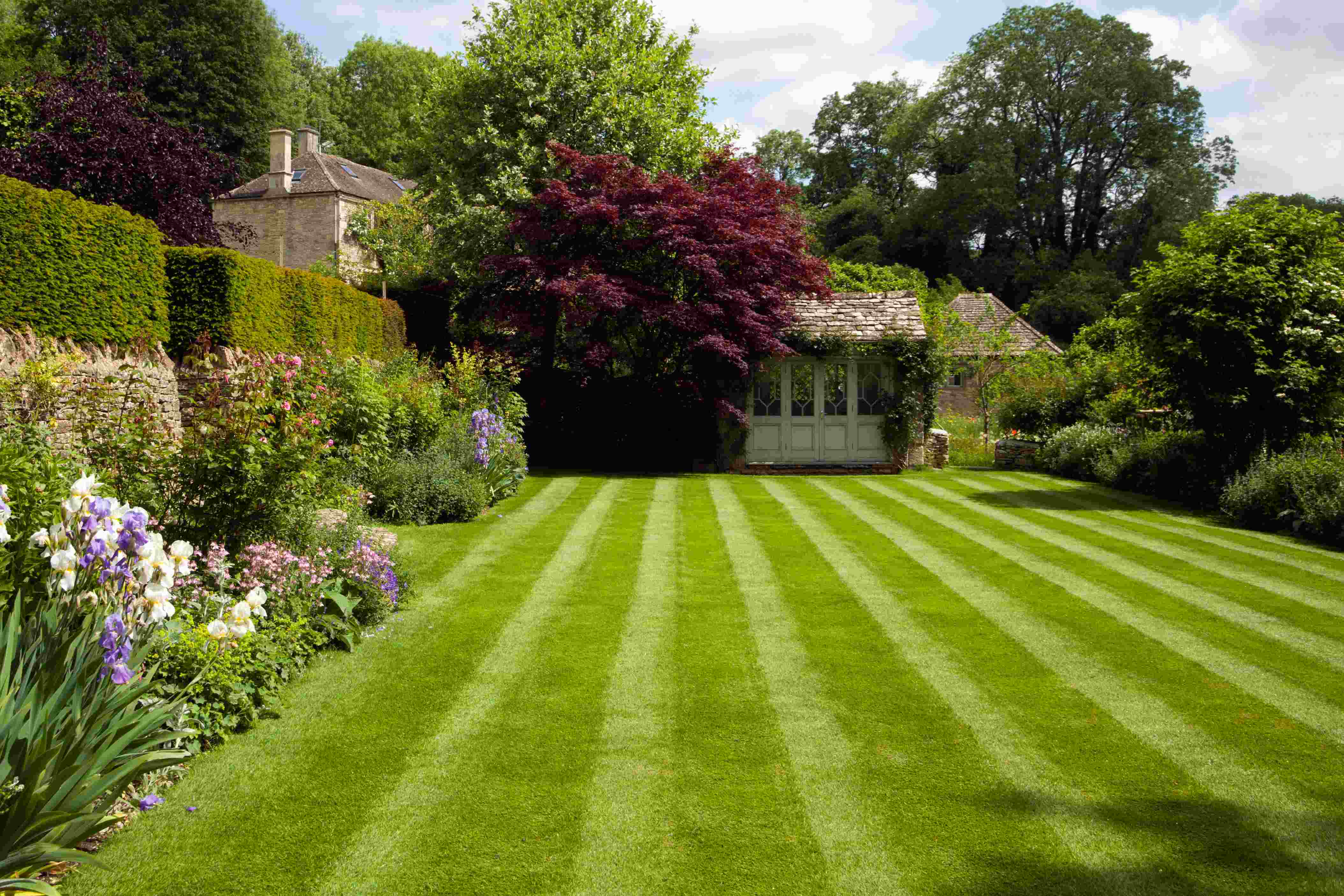 Excel Lawn Service perfectly striped lawn in San Jose